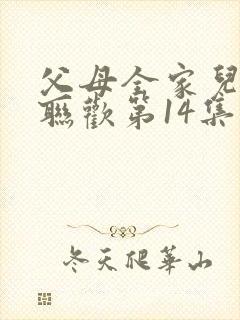 父母全家儿女大联欢第14集