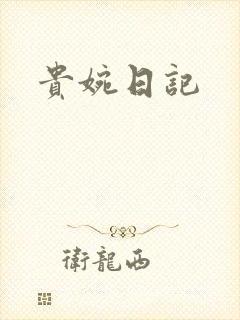 贵婉日记封面