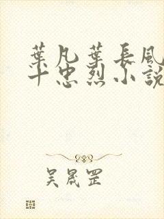 叶凡叶长风一门十忠烈小说书名