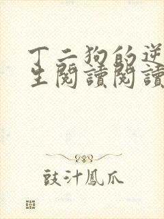 丁二狗的逆袭人生阅读阅读全文