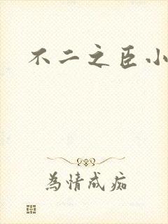 不二之臣小说