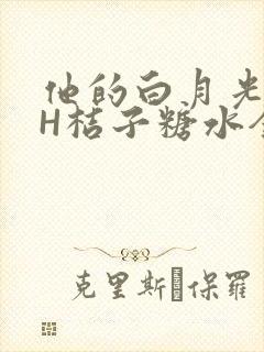 他的白月光HVH桔子糖水全文