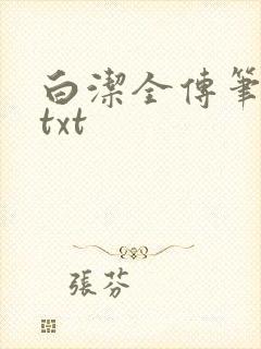 白洁全传笔趣阁txt封面
