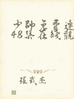 少帅免费连续剧48集在线观看高清版