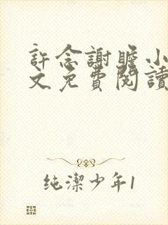 许念谢瞻小说全文免费阅读封面