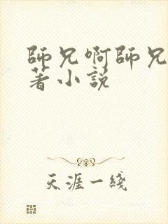 师兄啊师兄的原著小说