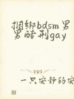 捆绑bdsm男男酷刑gay