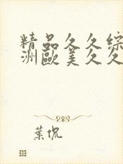 精品久久综合亚洲欧美久久