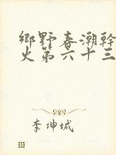 乡野春潮干柴烈火第六十三章