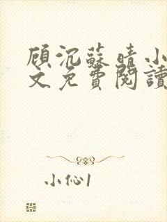 顾沉苏晴小说全文免费阅读最新章节