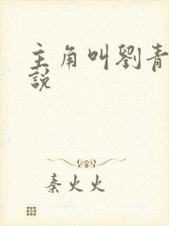 主角叫刘青的小说