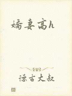 娇妻高h