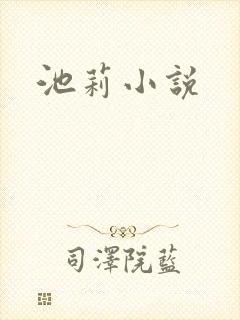 池莉小说