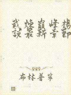 武炼巅峰杨开小说最新章节列表