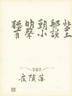 听明朝那些事儿有声小说王更新