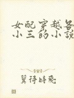 女配穿越各个做小三的小说封面