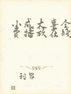 小成大事全集免费播放在线观看
