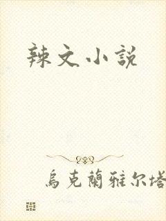 辣文小说