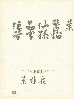 绝品仙医叶辰夏若雪孙怡