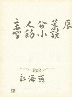 主人公叶辰夏若雪的小说