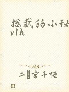 总裁的小秘书1v1h