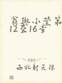 翁与小莹第十部12至16章