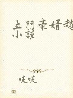 上门豪婿赵旭 小说