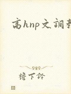 高hnp文调教