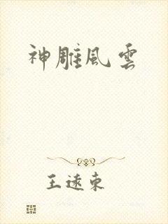 神雕风云