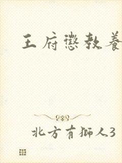 王府惩教养日常