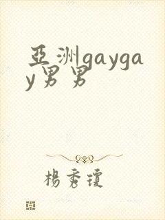 亚洲gaygay男男