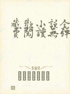 藏欢小说全文免费阅读无弹窗