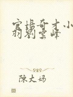 官场奇才小说陆羽刘云峰