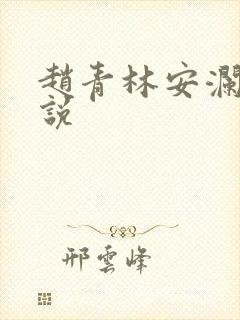赵青林安澜的小说