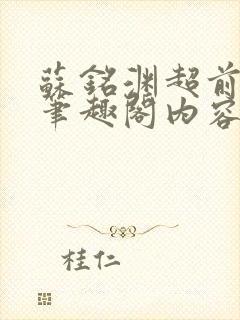 苏铭渊超前更新笔趣阁内容