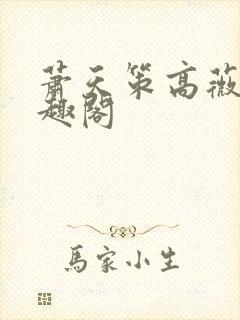 萧天策高薇薇笔趣阁