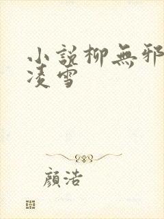小说柳无邪与徐凌雪封面