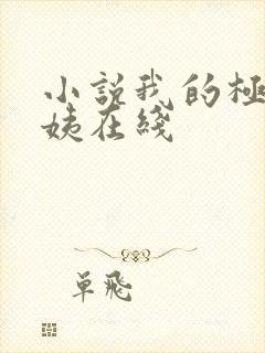 小说我的极品小姨在线