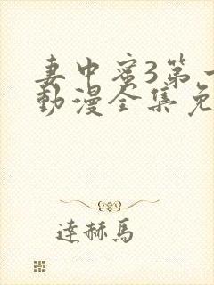 妻中蜜3第一季动漫全集免费观看封面