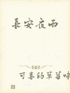 长安夜雨封面