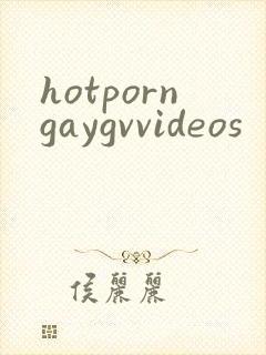 hotporngaygvvideos