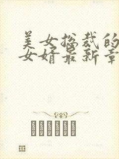 美女总裁的上门女婿最新章节