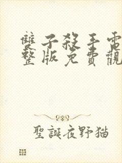 双子杀手电影完整版免费观看封面