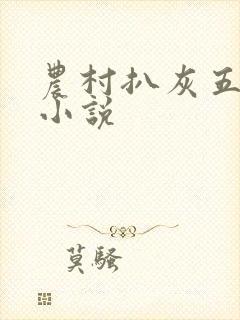 农村扒灰五十篇小说封面