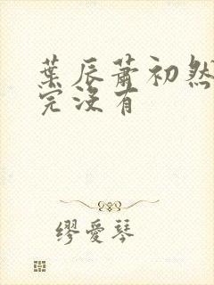 叶辰萧初然更新完没有封面