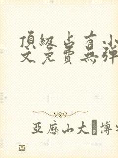 顶级占有小说全文免费无弹窗阅读