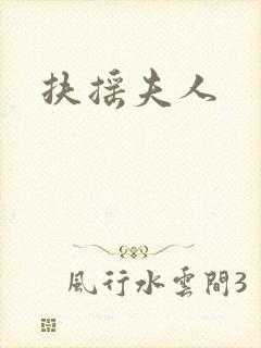 扶摇夫人封面