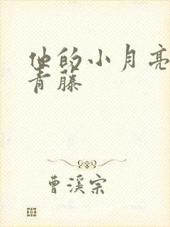 他的小月亮by青藤封面