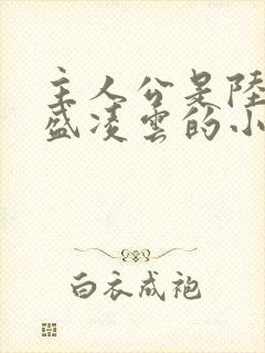 主人公是陆羽和盛凌云的小说红途