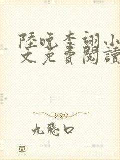 陆晚李翊小说全文免费阅读无弹窗封面